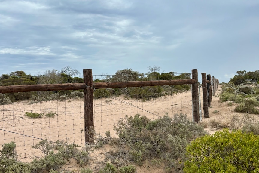 A fence running through desert landscape.
