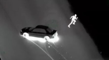 Queensland police dog bites man on groin after high-speed chase - ABC News
