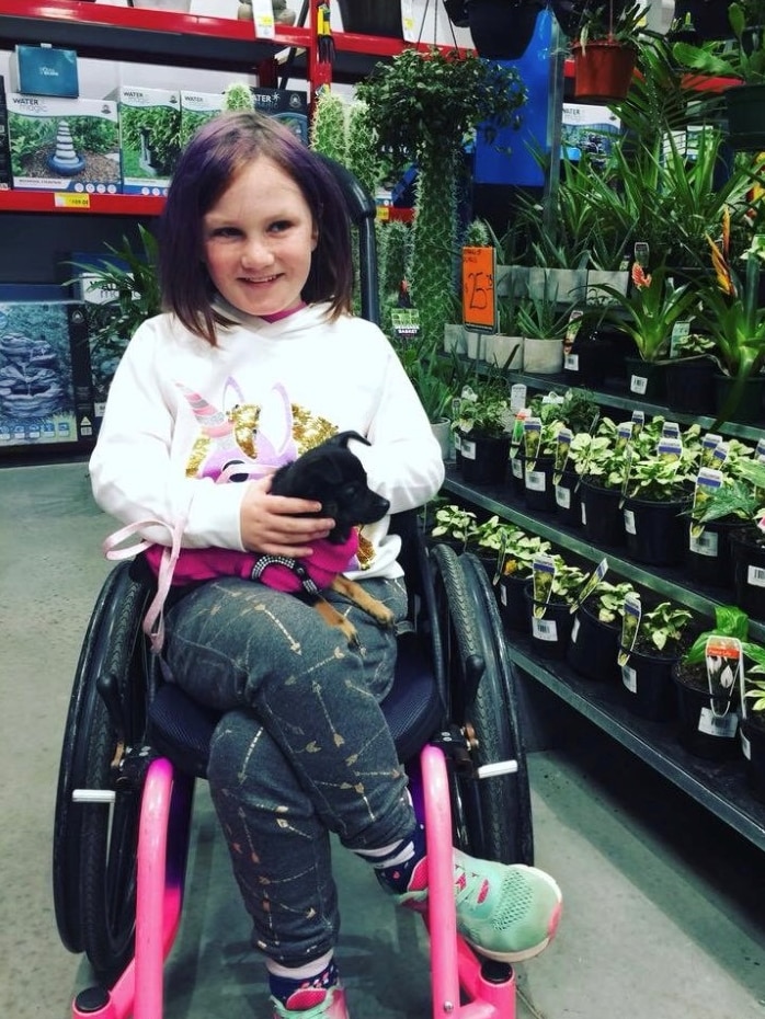Willow McShane in a wheelchair in a hardware store with a dog