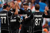 Cricketers dressed in black celebrate a wicket