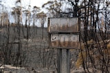 Burnt out numbers on a letterbox