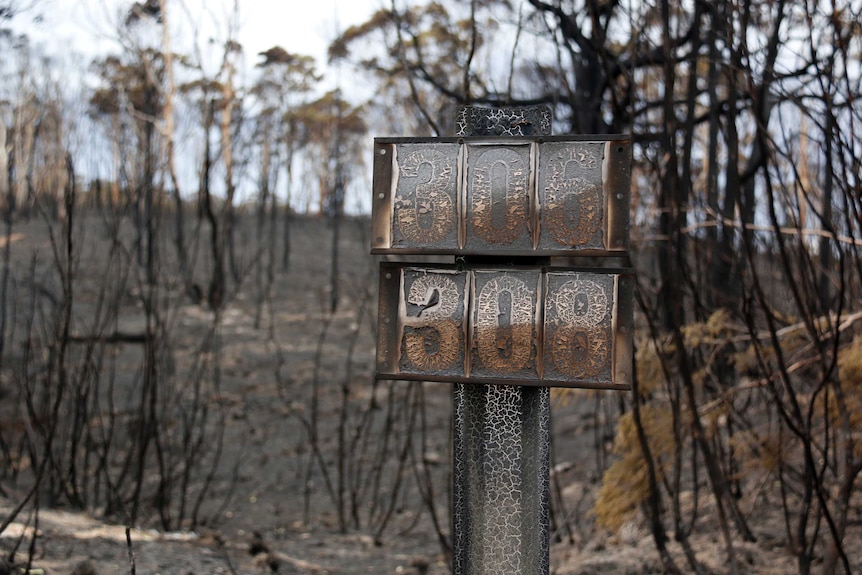 Burnt out numbers on a letterbox near Carwoola.