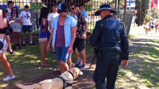 A sniffer dog searches concert goers