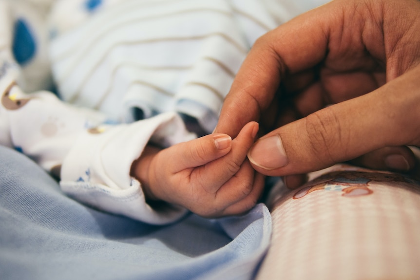 Person holds baby's hand.