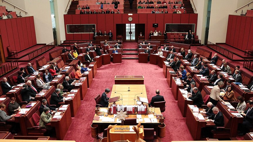A full senate photographed from the press gallery