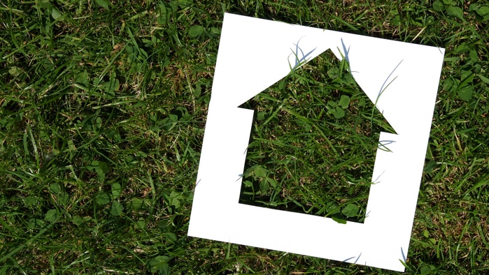 Cut out of house on grass