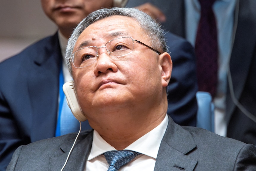 中国驻联合国代表傅聪对这一投票结果表示失望。