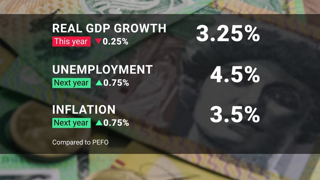 Will the upcoming budget provide economic reform? - ABC News