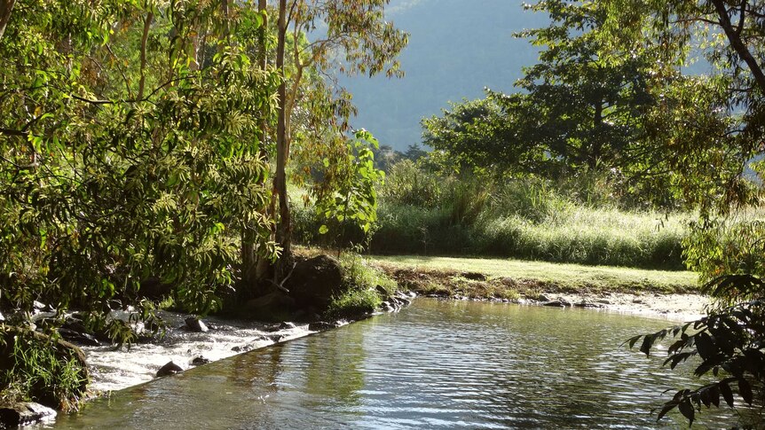 Rehabilitated creek