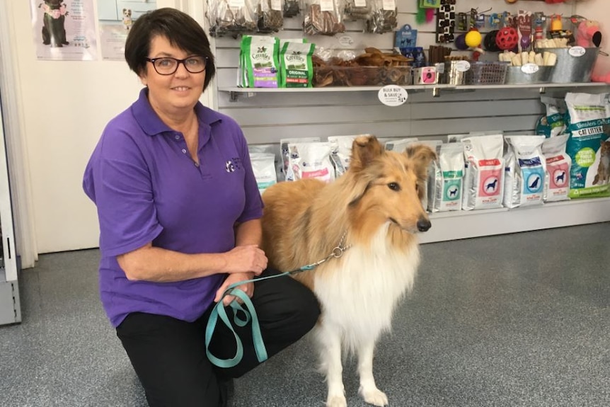 Doctor Jenny Weston is an Adelaide vet with a collie