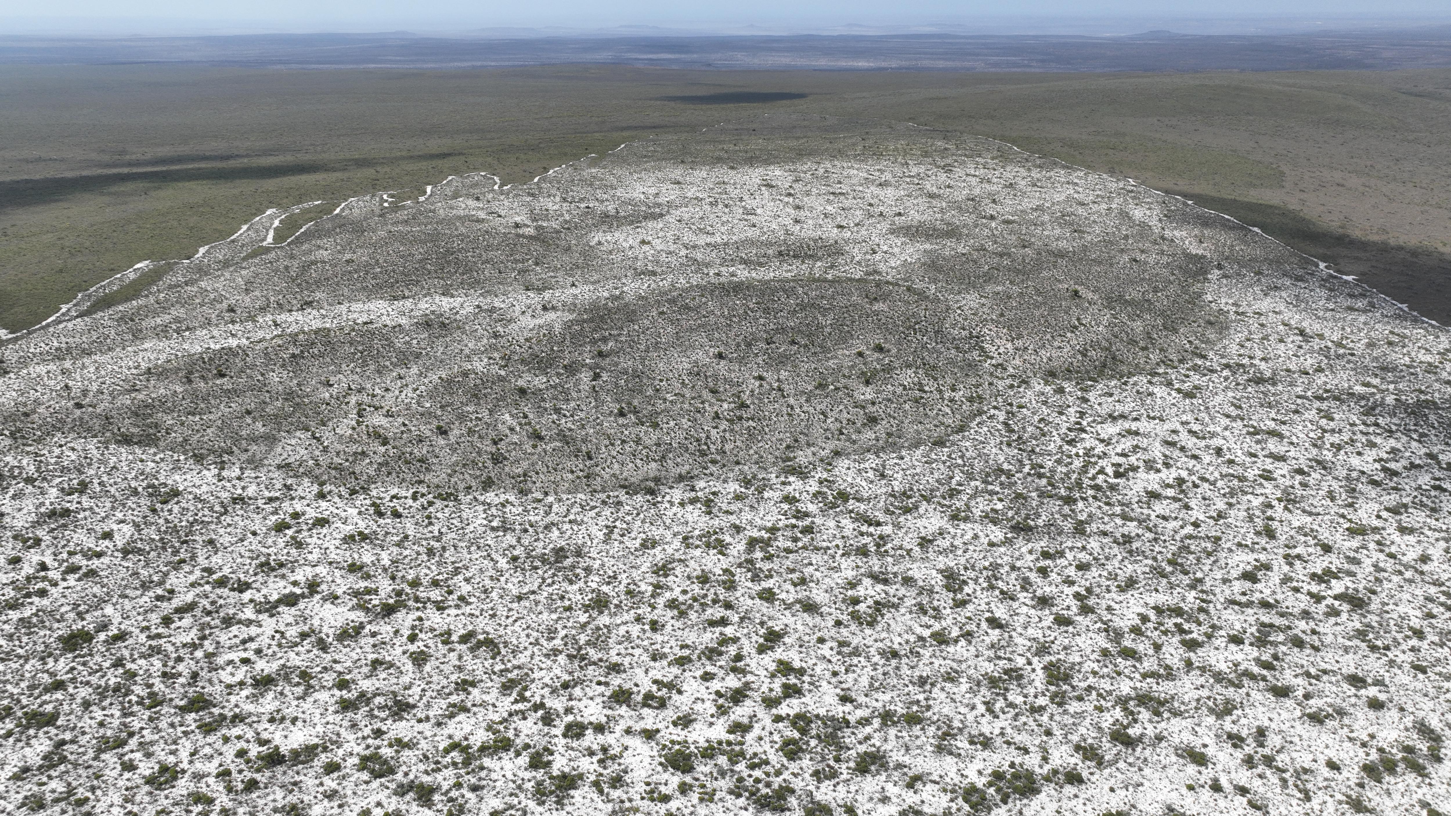 Parte de la cicatriz del incendio en el borde occidental del Parque Nacional Fitzgerald.