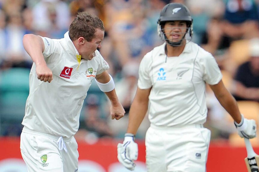 Siddle celebrates Taylor's wicket