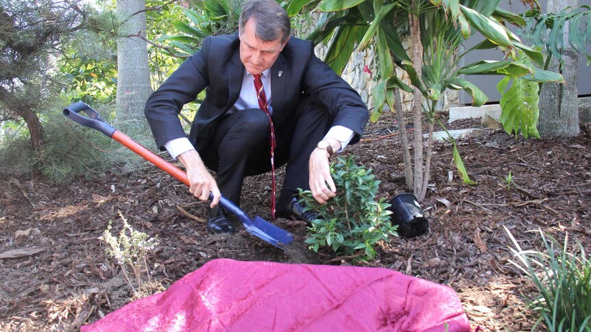 Graham Quirk, wearing a suit and tie, squats in a garden as he plants a tree behind the unveiled memorial.