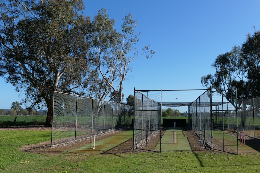 Three empty cricket nets with green turf, and wickets at one end