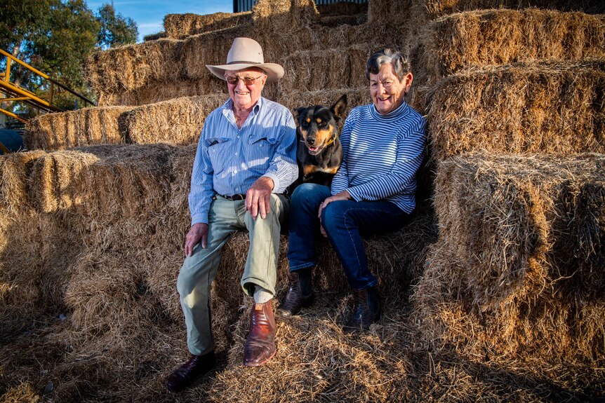 An older couple in a pile of hay, a kelpie squeezed in between them