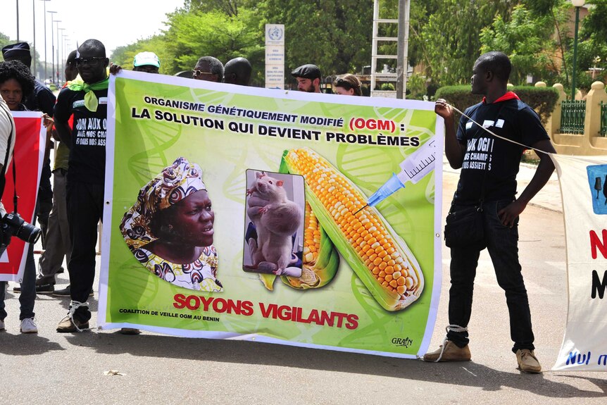 Burkina Faso joins protests against agribusiness giant Monsanto