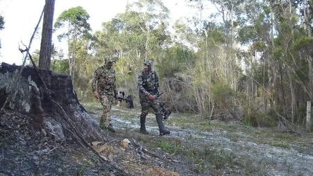 Two men in camouflage walk through bushland with compound bows.