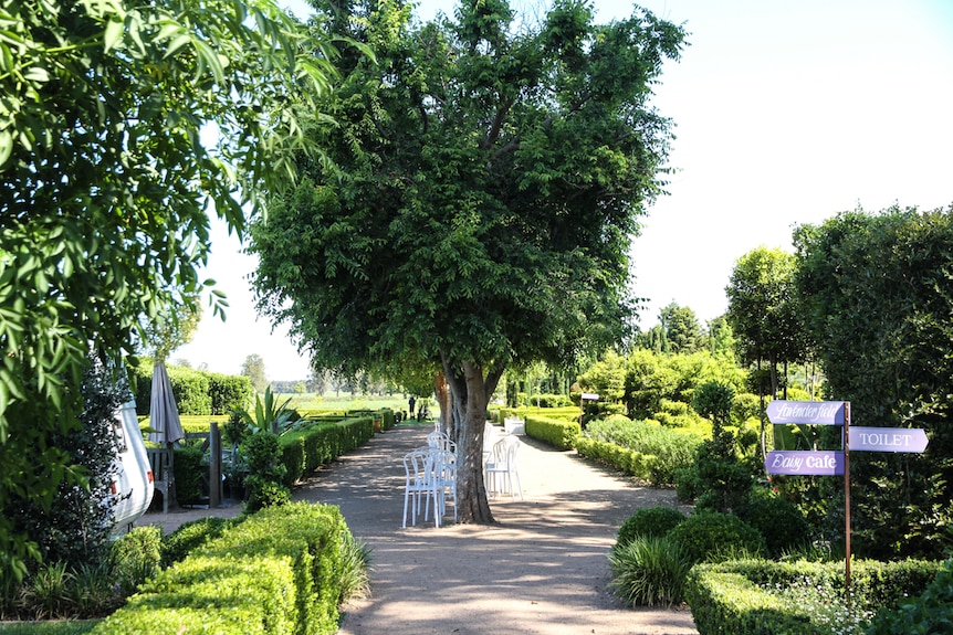Trees and topiary line the main street of a large garden