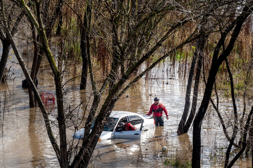 A person in a red jacket is knee-deep in flood waters walking towards a car.