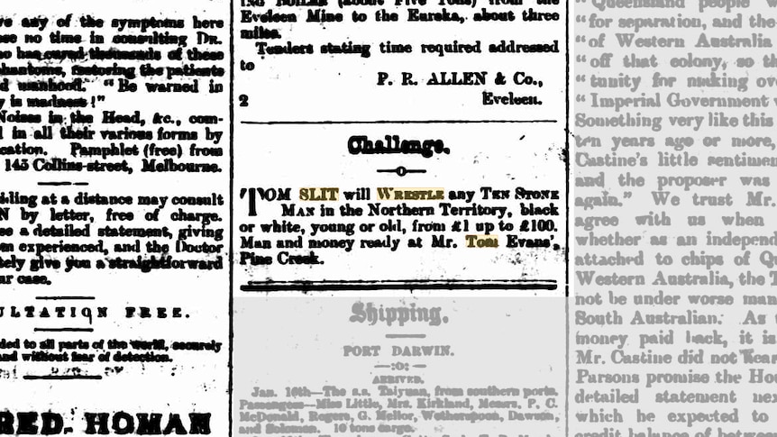 Classified Advertising (1891, January 23). Northern Territory Times and Gazette (Darwin, NT : 1873 - 1927)