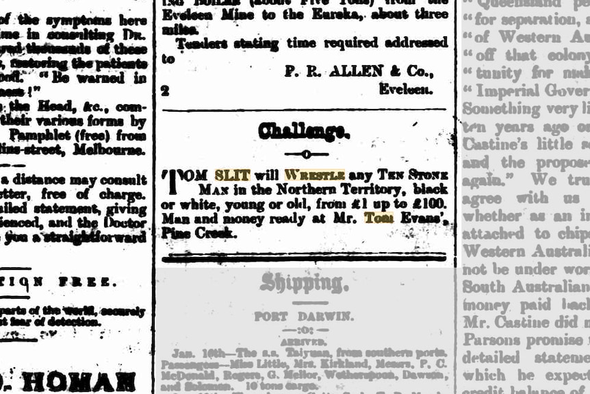Classified Advertising (1891, January 23). Northern Territory Times and Gazette (Darwin, NT : 1873 - 1927)