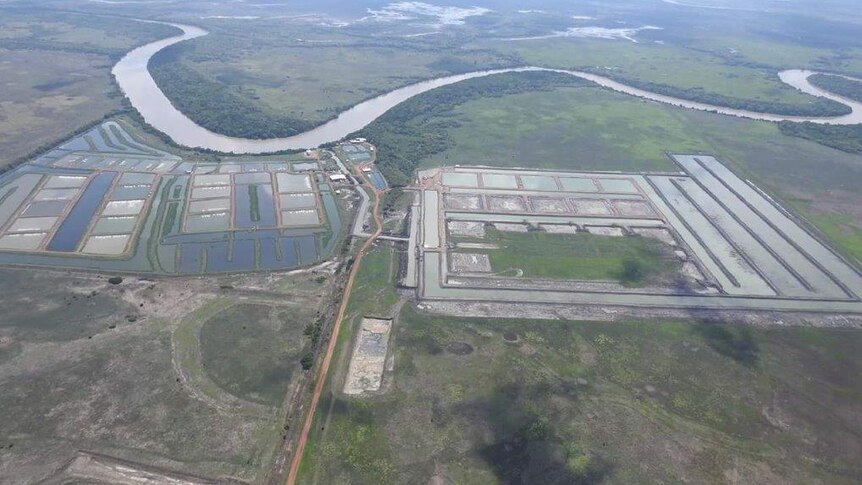 An aerial view of the Humpty Doo barramundi farm showing a dozen new ponds