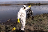 A person in a white protective suit stands next to a lake holding a dead crane. 