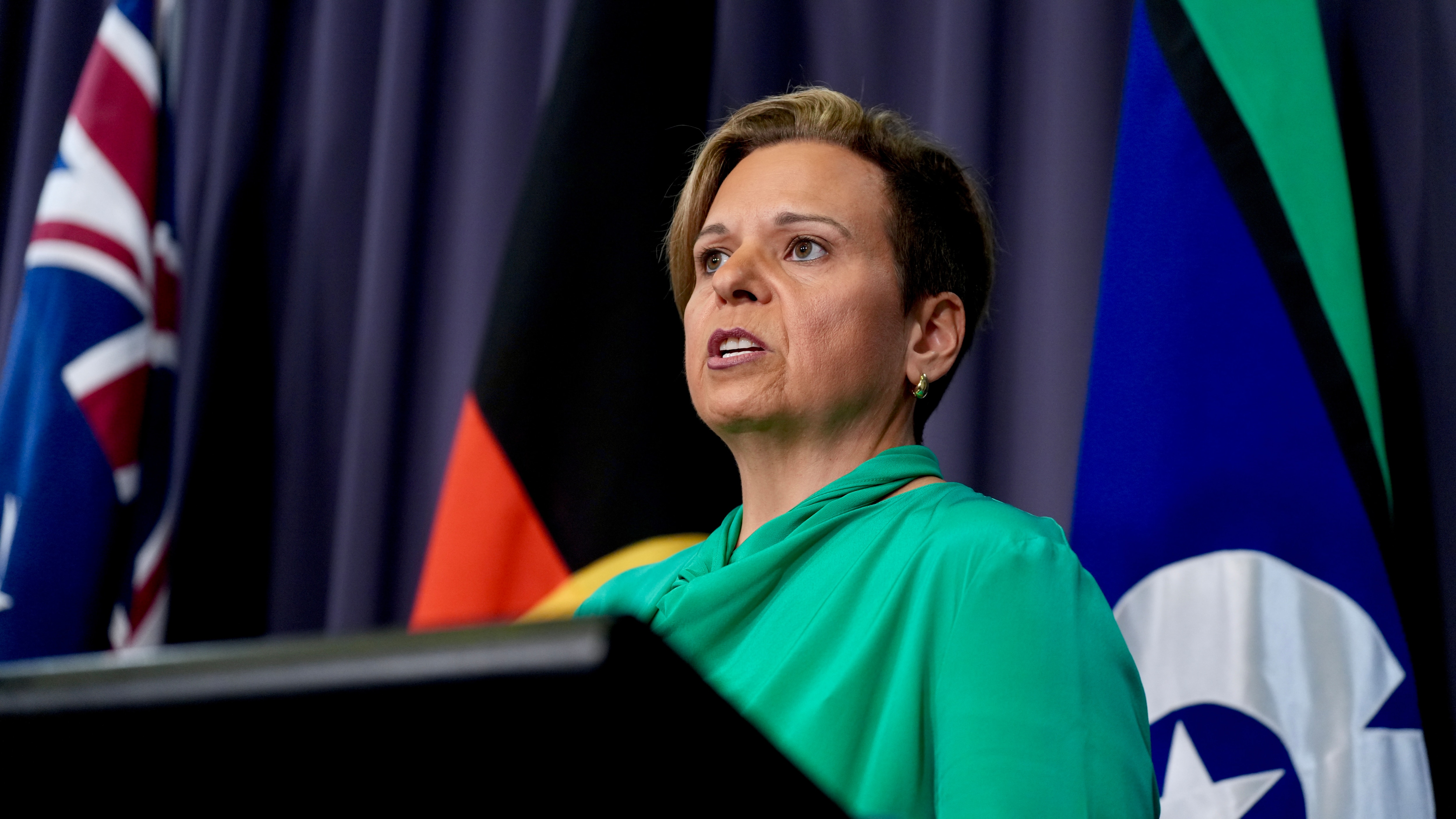 A woman with short hair and bright green top stands in front of flags and a lecturn.