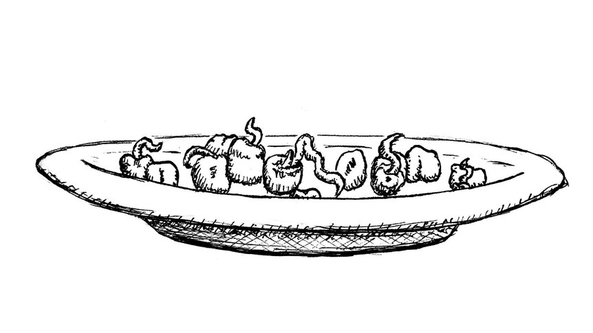 Illustration of peas sprouting roots on a plate.