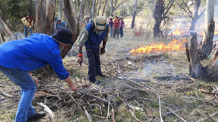 Rod Mason demonstrating how to clear around trees and then burn the litter