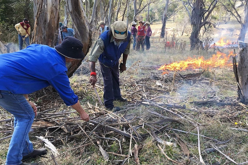Rod Mason demonstrating how to clear around trees and then burn the litter