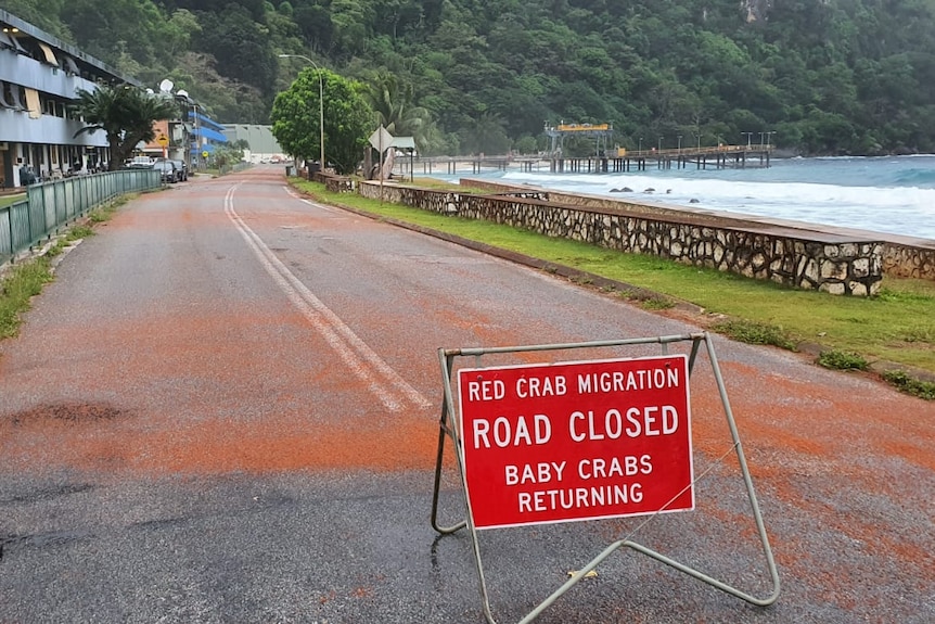 Baby red crabs cover a road on Christmas Island with a sign that says 'red crab migration, road closed, baby crabs returning'.