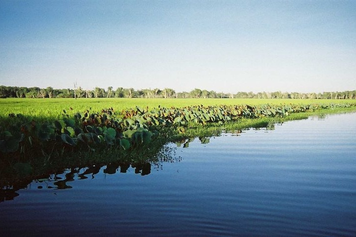 Kakadu wetlands