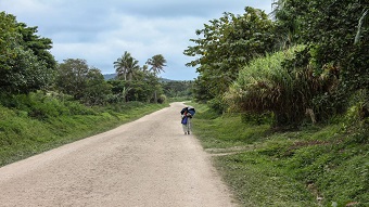 A woman walks on a dirt road surrounded by tropical trees.