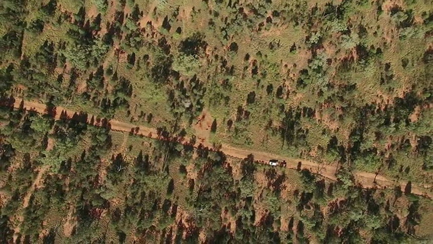 Drone vision of a wombat refuge