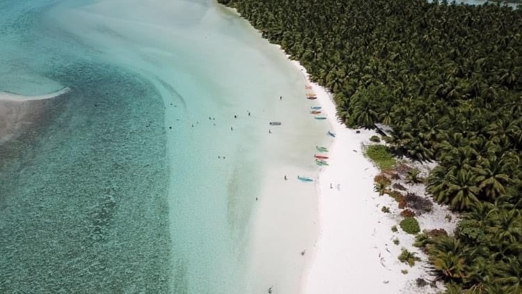 aerial view of white sandy beach, turquoise water and dense forest of palm trees. People are swimming and kayaking in the water