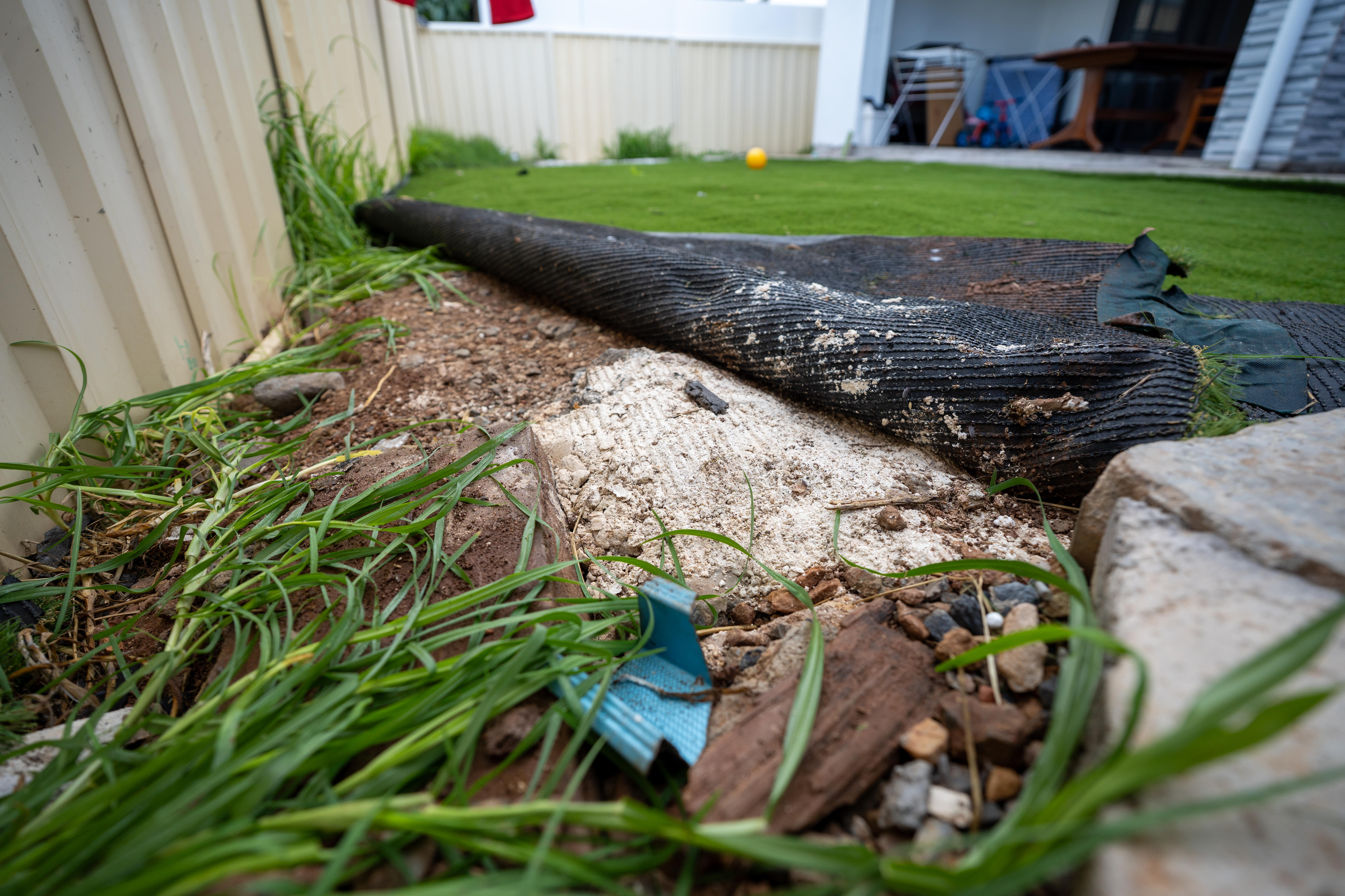 Lawn with weed plastic underneath rolled up to show rubble underneath