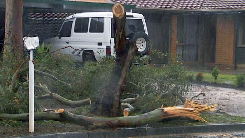 Adelaide storm damage