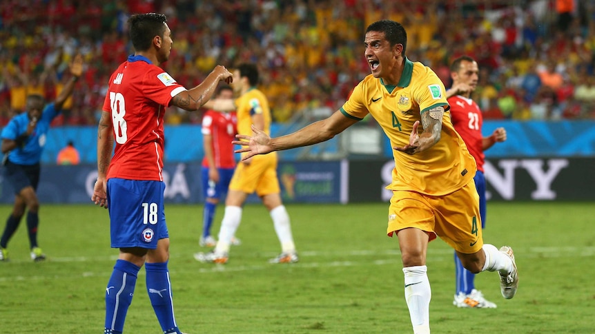 Tim Cahill bemoans an offside decision