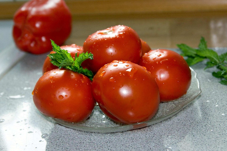 Plate of washed tomatoes on a bench.