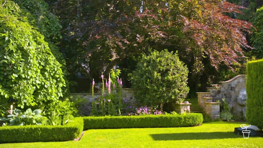 Formal garden with trees, lawns and garden beds edged in low-lying hedges