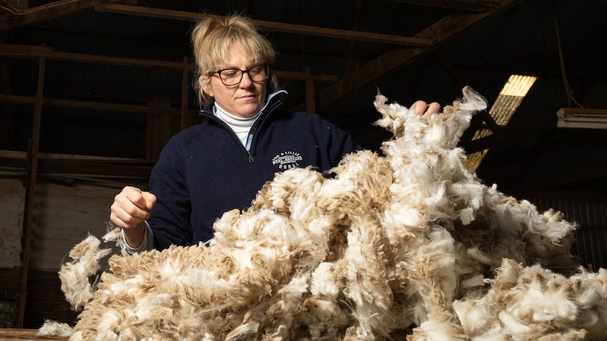A woman looks through a pile of wool