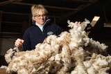 A woman looks through a pile of wool