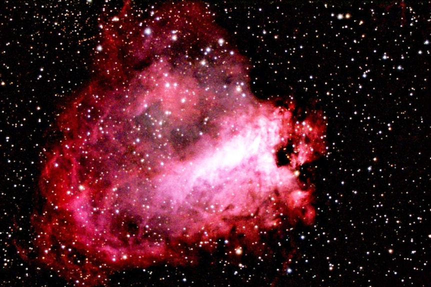 Swan nebula Richard Higby Astrophotography