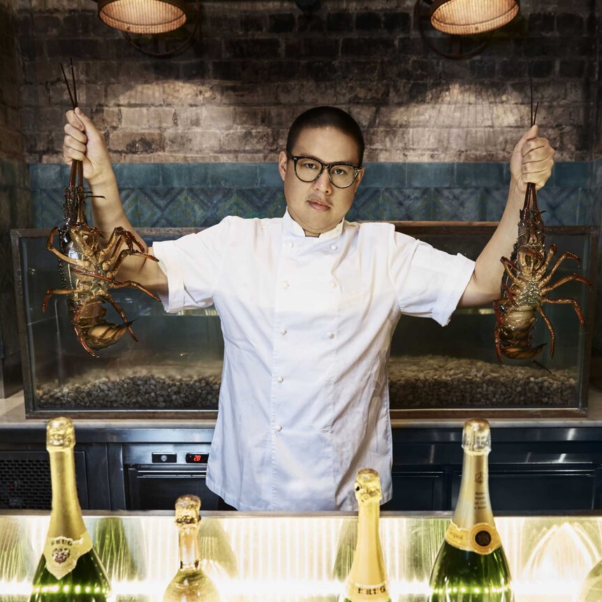 A chef holding two lobsters