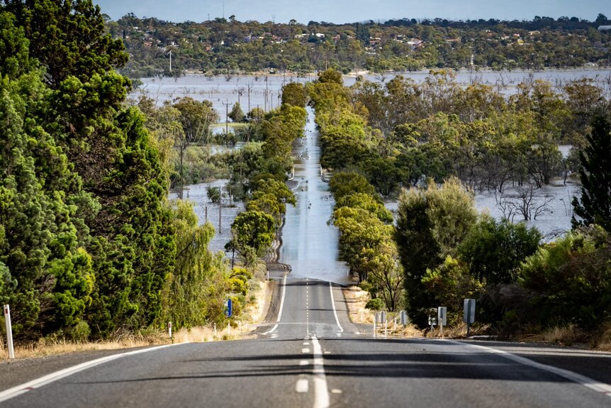 The River Murray submerges a road near Berri and Loxton.