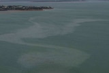 An oil slick across a large part of Darwin Harbour.