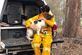 A man wearing bright yellow overalls hugs his dog sitting on the back tray of a ute