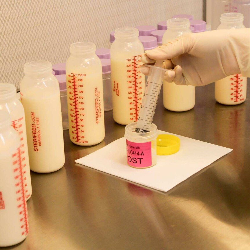 Breast milk being processed in a laboratory at the Royal Brisbane Hospital.