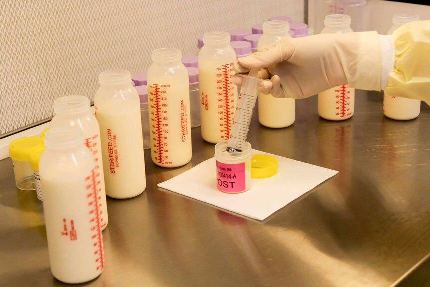Breast milk being processed in a laboratory at the Royal Brisbane and Women's Hospital.
